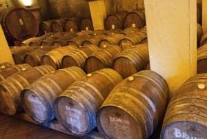 From Florence: Val d'Orcia Region Private Wine Tasting Tour
