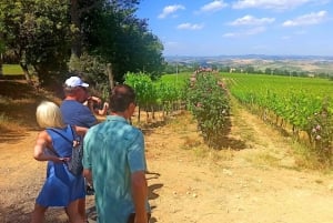 From Florence: Val d'Orcia Region Private Wine Tasting Tour