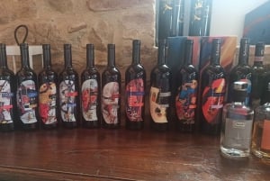 From Florence: Val d'Orcia Region Private Wine Tasting Tour