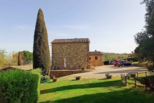 From Florence: Val d'Orcia Region Private Wine Tasting Tour