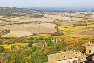 From Florence: Val d'Orcia Region Private Wine Tasting Tour