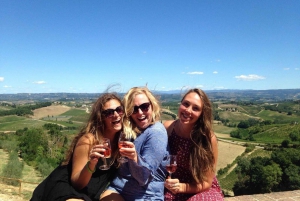 From Florence: Vegetarian Meal at San Gimignano Winery