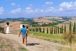 Firenze: Montalcino, Montepulciano e Val d'Orcia con pranzo