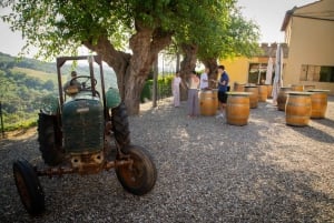 Utanför Florens: Vinframställning och gourmetmiddag
