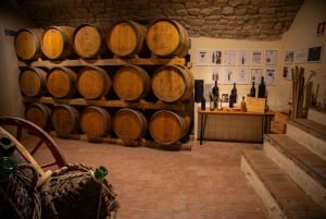 Au départ de Florence : Expérience de fabrication de vin et dîner gastronomique