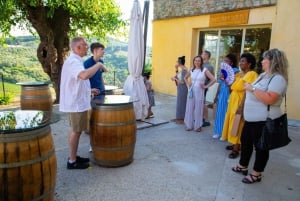 Desde Florencia: Experiencia Vinícola y Cena Gourmet