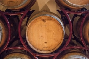 From Florence: Wine Making Experience and Gourmet Dinner