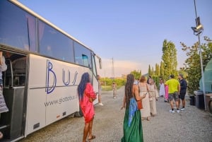 From Florence: Wine Tasting and Dinner in Chianti Vineyards