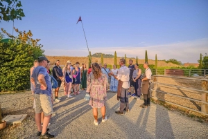 From Florence: Wine Tasting and Dinner in Chianti Vineyards
