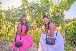 From Florence: Wine Tasting and Dinner in Chianti Vineyards
