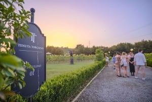 From Florence: Wine Tasting and Dinner in Chianti Vineyards