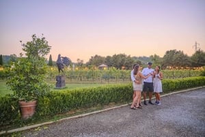 From Florence: Wine Tasting and Dinner in Chianti Vineyards