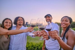 From Florence: Wine Tasting and Dinner in Chianti Vineyards