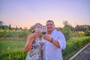 From Florence: Wine Tasting and Dinner in Chianti Vineyards