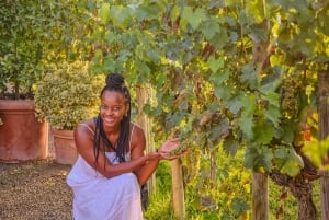 From Florence: Wine Tasting and Dinner in Chianti Vineyards
