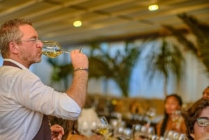 From Florence: Wine Tasting and Dinner in Chianti Vineyards