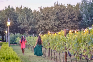 From Florence: Wine Tasting and Dinner in Chianti Vineyards
