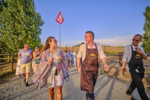 From Florence: Wine Tasting and Dinner in Chianti Vineyards