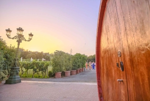 Von Florenz aus: Weinverkostung und Abendessen in den Chianti-Weinbergen