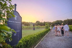 Von Florenz aus: Weinverkostung und Abendessen in den Chianti-Weinbergen