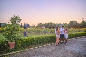 Von Florenz aus: Weinverkostung und Abendessen in den Chianti-Weinbergen