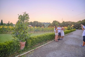 Von Florenz aus: Weinverkostung und Abendessen in den Chianti-Weinbergen