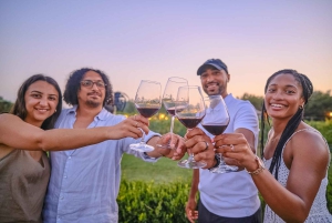 Von Florenz aus: Weinverkostung und Abendessen in den Chianti-Weinbergen