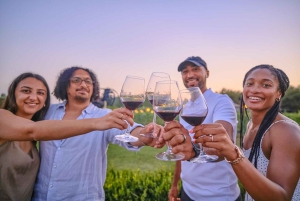 Von Florenz aus: Weinverkostung und Abendessen in den Chianti-Weinbergen