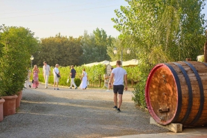 Von Florenz aus: Weinverkostung und Abendessen in den Chianti-Weinbergen