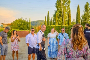 Von Florenz aus: Weinverkostung und Abendessen in den Chianti-Weinbergen