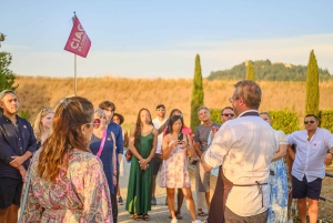 Von Florenz aus: Weinverkostung und Abendessen in den Chianti-Weinbergen