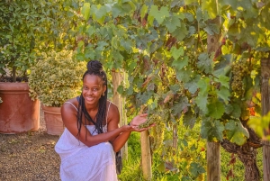 Von Florenz aus: Weinverkostung und Abendessen in den Chianti-Weinbergen