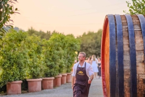 Von Florenz aus: Weinverkostung und Abendessen in den Chianti-Weinbergen