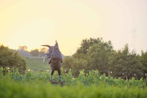 Von Florenz aus: Weinverkostung und Abendessen in den Chianti-Weinbergen