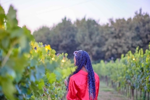 Von Florenz aus: Weinverkostung und Abendessen in den Chianti-Weinbergen