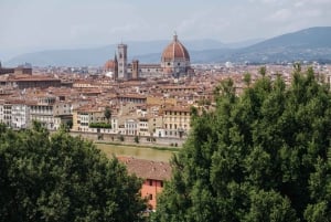 Fra La Spezia: Firenze & Pisa Krydstogt Landudflugt