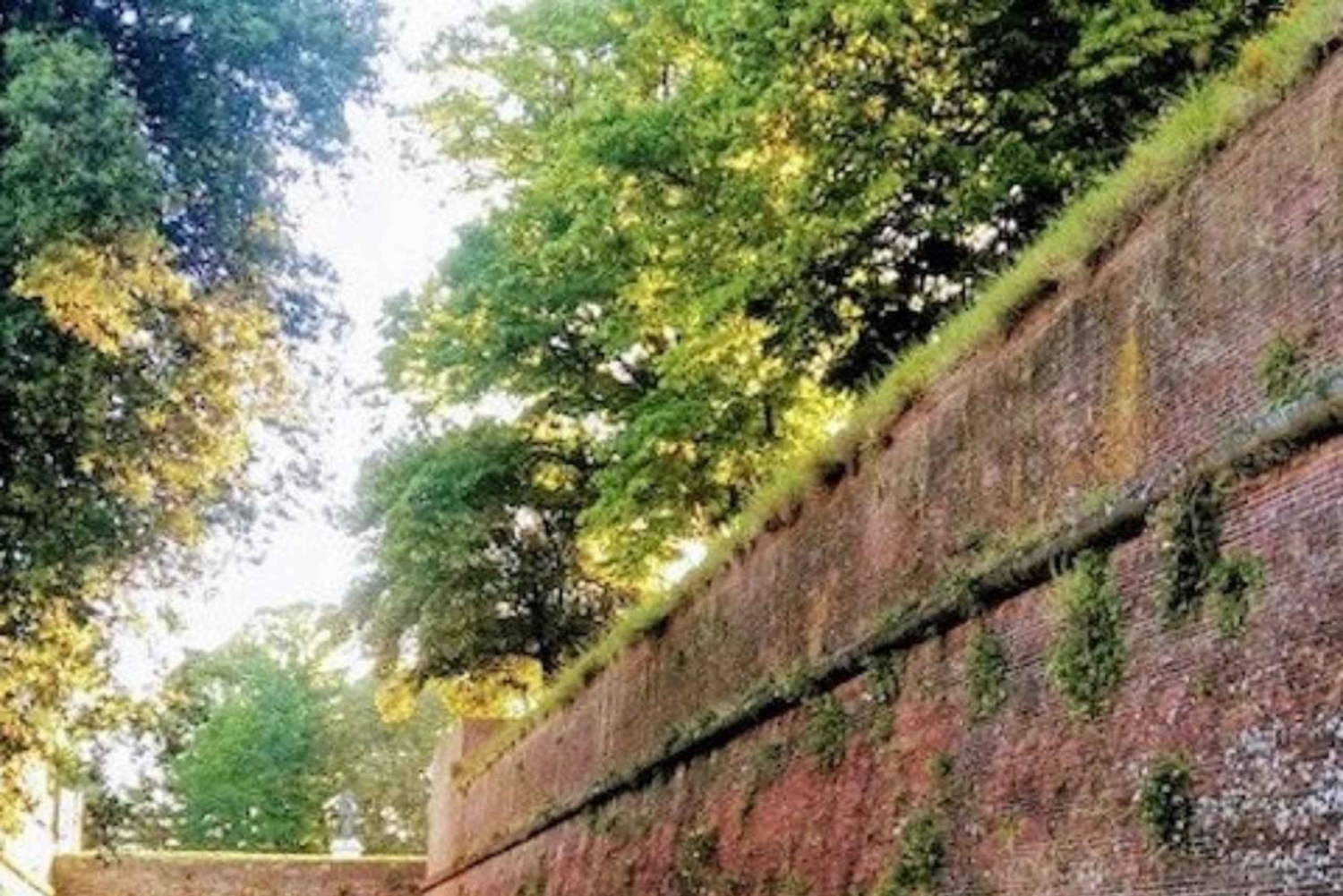 Desde La Spezia: Pisa, Lucca y almuerzo en una bodega toscana