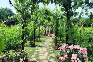 Da Livorno: Corso di cucina sulla pasta italiana autentica