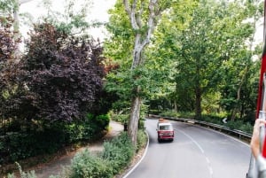 Da Livorno: Escursione a terra Firenze Hop-On Hop-Off