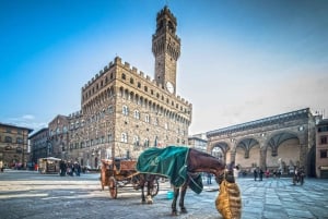 Fra Livorno: Firenze udflugt på land med smagsprøver