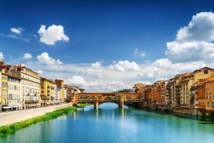 From Livorno: Florence Shore Excursion with Tasting