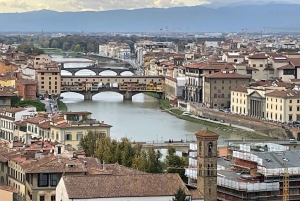 Da Livorno: escursione guidata di un giorno a Firenze e Pisa in autobus
