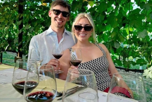 De Livourne : San Gimignano avec déjeuner et dégustation