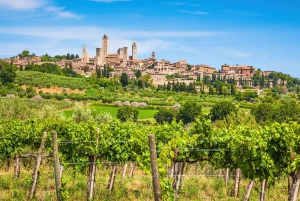 De Livourne : San Gimignano avec déjeuner et dégustation