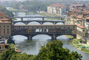 From Livorno: Florence and Pisa Roundtrip Transfer