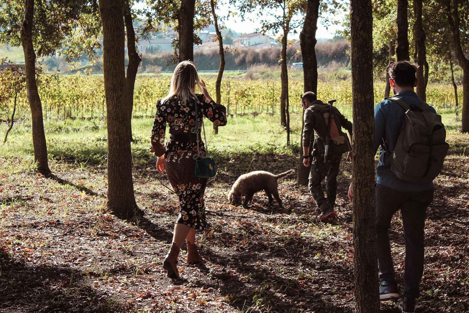 From Livorno: Truffle Hunting with Lunch & wine tasting