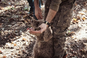From Livorno: Truffle Hunting with Lunch & wine tasting