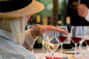 From Livorno: Truffle Hunting with Lunch & wine tasting