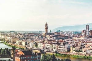 Da Milano: Escursione di un giorno a Firenze e Pisa