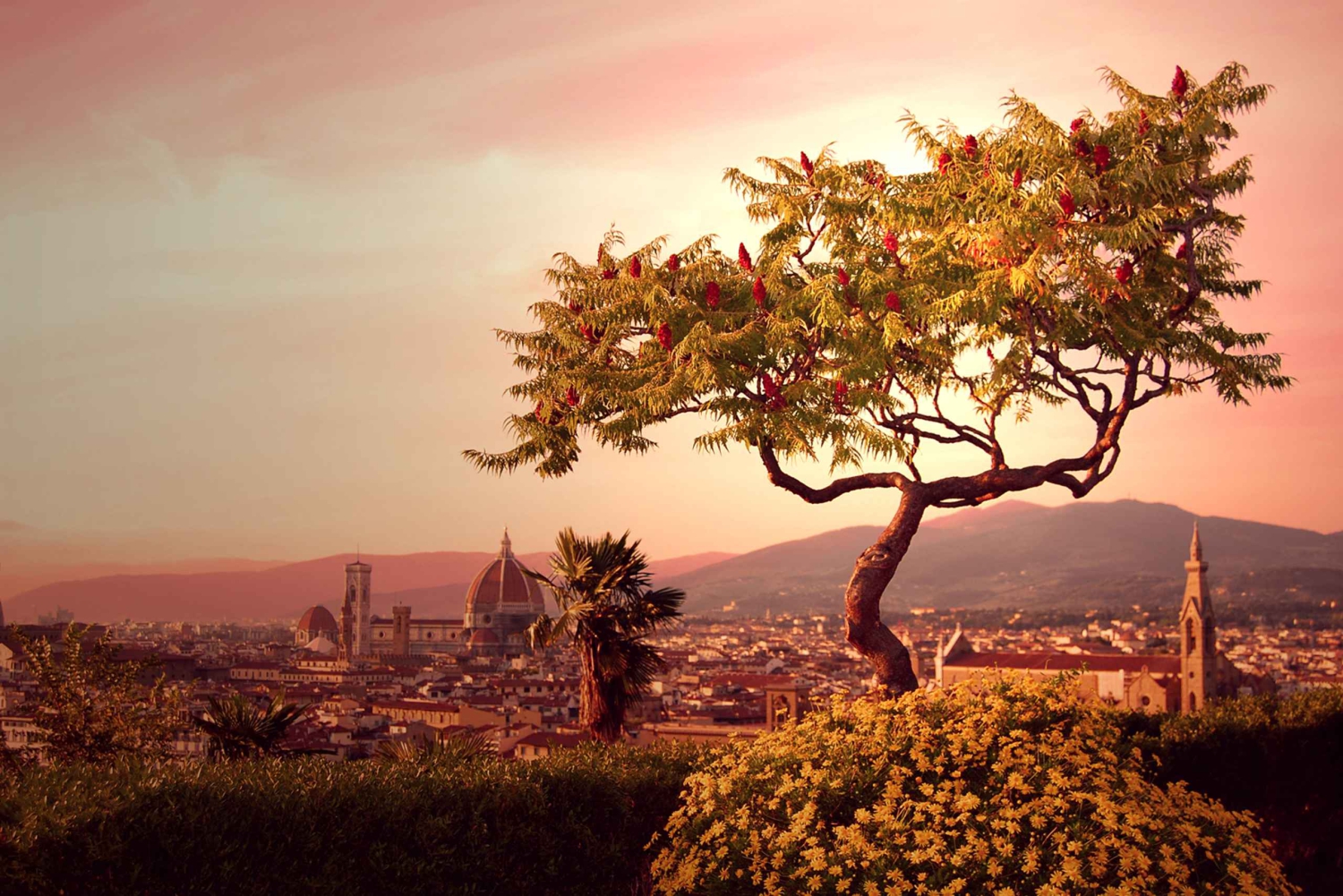 Z Rzymu: 1-dniowa wycieczka do Florencji pociągiem dużych prędkości